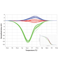 高分辨熔解曲线（HRM）检测技术